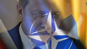 Kürtler, NATO ve Türkiye  