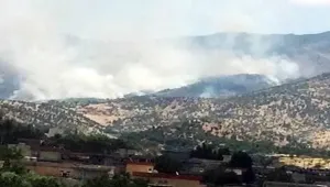 100 milyon dönüm orman yakıldı