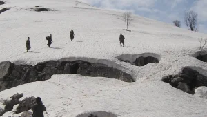 Çığ