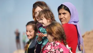 Fermana cevap siyasi statüdür