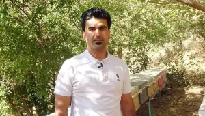 Üniversiteyi bitirdi, köyde arıcılığa başladı