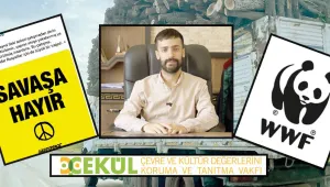 Alaturka Greenpeace!