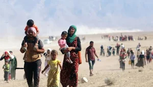 Şengal fermanı 7. yılında 