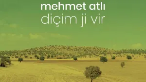 Diçim Ji Vir