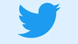 Twitter baskı altında