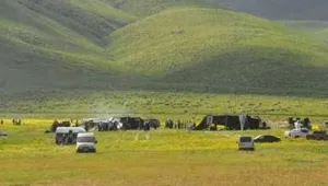 Gever'de yayla yasağı