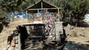 Dersim’de ‘yeşil’ soykırım