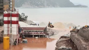 Sinpaş, çevrecileri gözaltına aldırdı