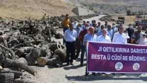 Kürdistan’da doğa katliamı