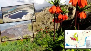 İliç’ten Dersim’e: Sömürgeciler altın vadedilmiş topraklarda