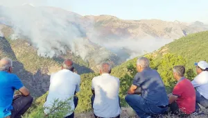 Dersim’de devletin ekoloji yıkım aygıtları!