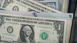 Dolar/TL kuru, yılın zirvesinde