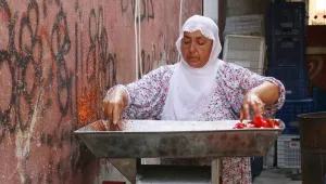 'Hem evde hem tarlada çalışıyoruz'