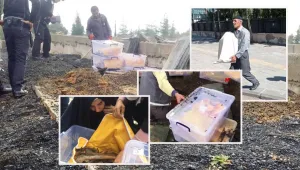 Şimdi değilse ne zaman?