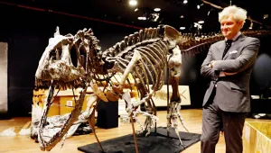 Zenginlerin yeni oyuncağı: Dinozor iskeleti