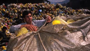 Nijerya değil plastikya