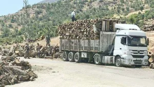 Günlük 50 TIR’ı aştı