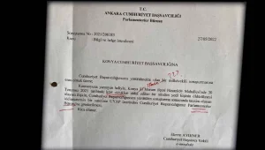 Kürt olduklarından emin değil!