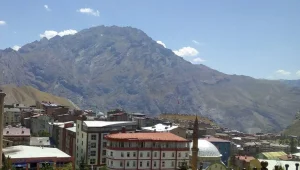 Devlet, Ayşegül ve çetesi 