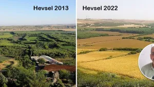 Hevsel kayyum eliyle yok ediliyor