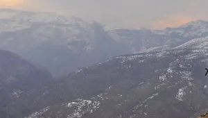 Faşizme ölüm!