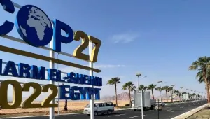 COP27: İşbirliği yapmak ya da yok olmak