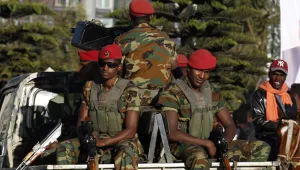 Etiyopya ve Tigray kırmızı hat kurdu 