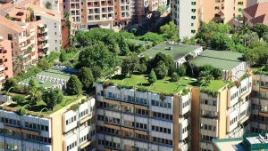 Frankfurt’ta yeşil çatılar