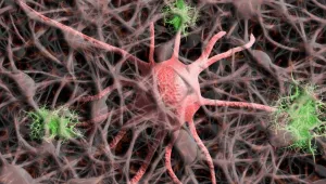 Alzheimer tedavisinde yeni umut