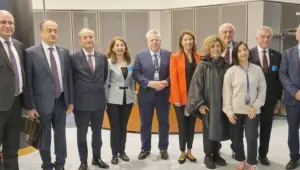 Türk sistemi otoriter