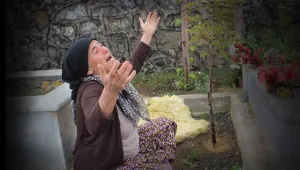 Taşlardan neden korkuyorlar!