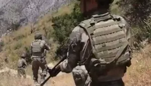 Türk varlığı sınırlandırılabilir