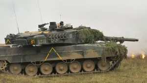 Leopard için yeşil ışık  