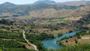 En çok kuşlar ağladı Karo’nun ölüsüne