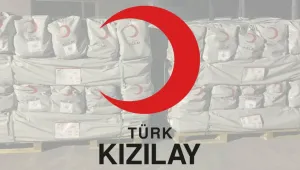 Bunlar kan emicidir!