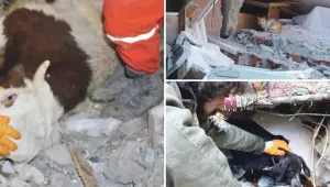 Enkaz altında kurtarılmayı bekliyorlar!