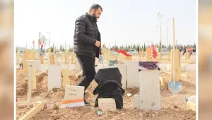 Çoğu yaşıyor olabilirdi