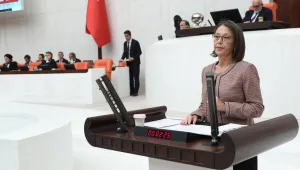 Deprem bölgesinde aile içi şiddet büroları faal değil