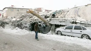 Kuşlar hiç susmadı...