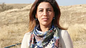 HDP’liyse cinsiyetçi küfür suç değil!