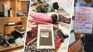 Saldıklara müdahale operasyonu