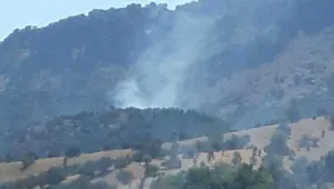 Cudi yanıyor, müdahale yok