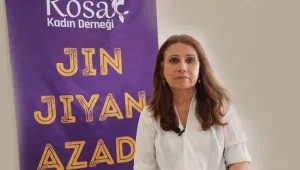 Günde iki şiddet başvurusu