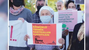 '5'li çete’den ekolojik talan