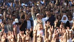 Tuhaf bir hikâye, anket ve ötesi