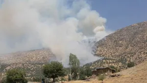 Türk ordusu zehirli gaz mı kullanıyor?