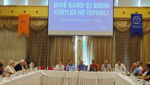 Bir çalışmanın düşündürdükleri