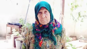 Mewlîde ananın büyülü yolculuğu