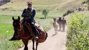 Berivanların emeği karşılığını alamıyor
