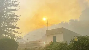 Orman yangınları Güney Avrupa’yı kavuruyor